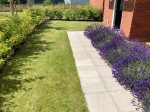 Images for Astley Gardens, Hilton, DE65
